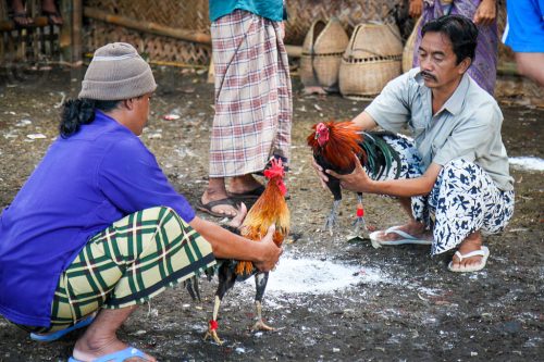 Didier_Gautron_Bali_2010-55