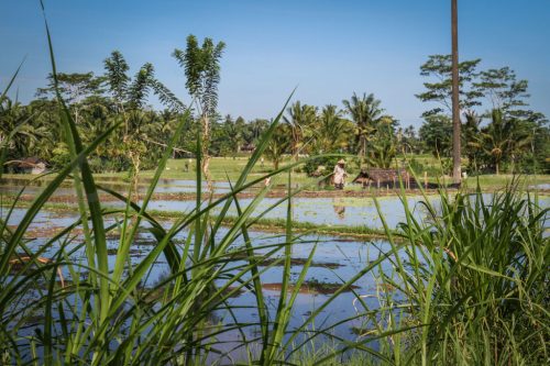 Didier_Gautron_Bali_2010-61