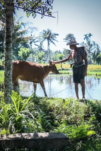 Didier_Gautron_Bali_2010-62