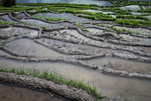 Didier_Gautron_Bali_2010-63