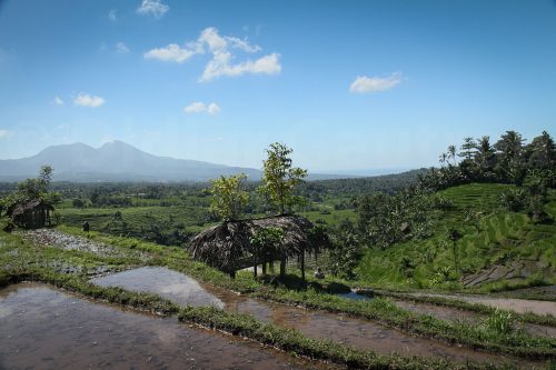 Didier_Gautron_Bali_2010-64