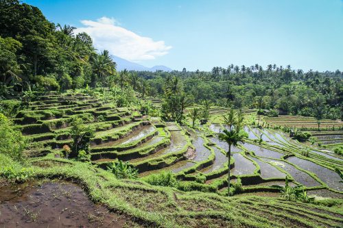 Didier_Gautron_Bali_2010-65