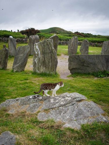 Didier_Gautron_Irlande-2005-20