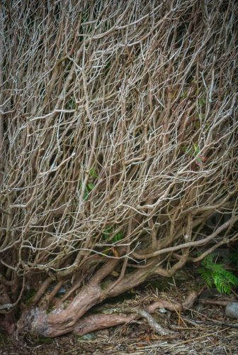 Didier_Gautron_Irlande-2005-29