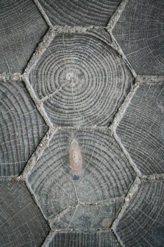 Didier_Gautron_Irlande-2005-41