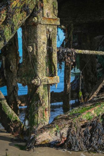 Didier_Gautron_Irlande-2005-45