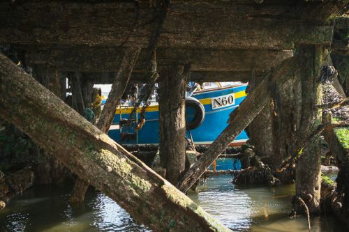 Didier_Gautron_Irlande-2005-46