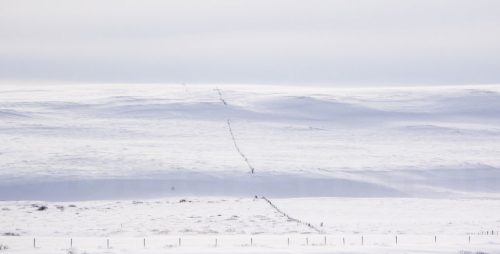 Didier_Gautron_Islande-2015-02