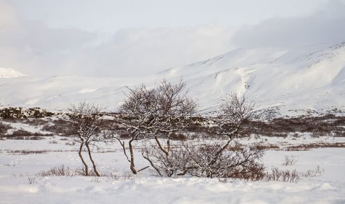 Didier_Gautron_Islande-2015-07