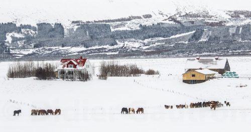 Didier_Gautron_Islande-2015-08