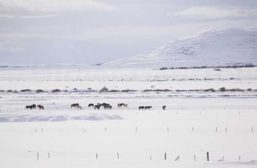 Didier_Gautron_Islande-2015-09
