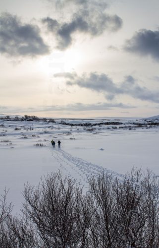 Didier_Gautron_Islande-2015-14