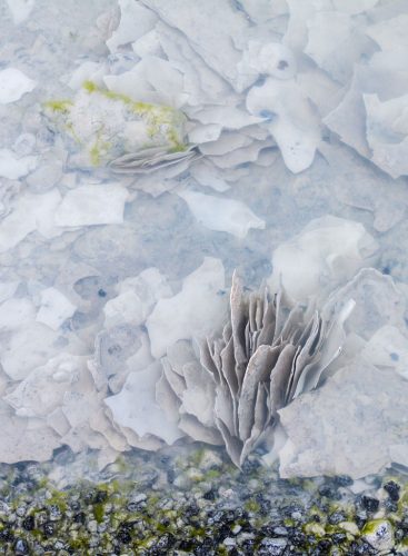 Didier_Gautron_Islande-2015-47