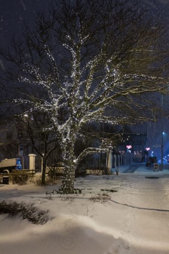 Didier_Gautron_Islande-2015-54