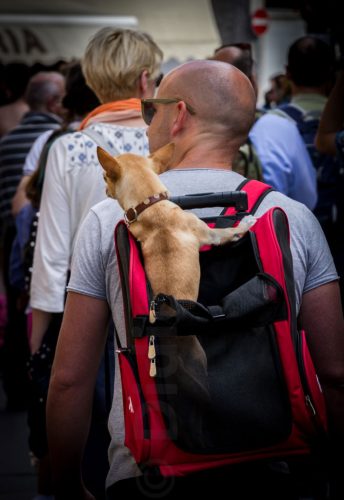 Didier_Gautron_Italie-Sicile-2011-05