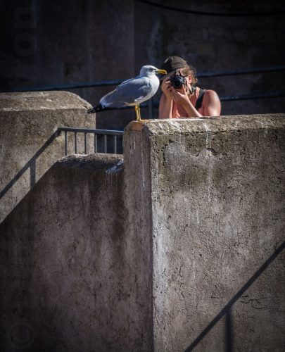 Didier_Gautron_Italie-Sicile-2011-20