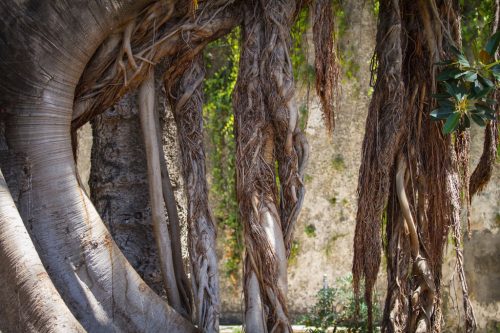 Didier_Gautron_Italie-Sicile-2011-31