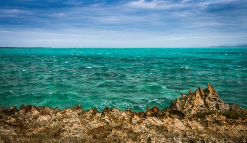 Didier_Gautron_Madagascar-2009-12