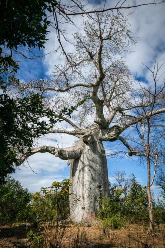 Didier_Gautron_Madagascar-2009-25