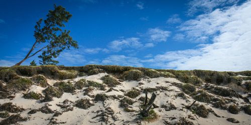 Didier_Gautron_Madagascar-2009-26