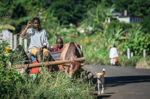 Didier_Gautron_Madagascar-2009-28