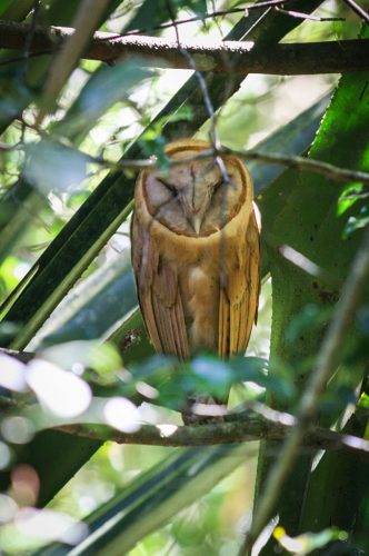 Didier_Gautron_Madagascar-2009-39