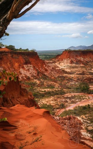 Didier_Gautron_Madagascar-2009-43