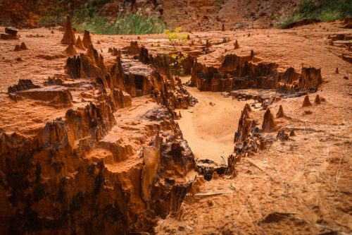 Didier_Gautron_Madagascar-2009-44
