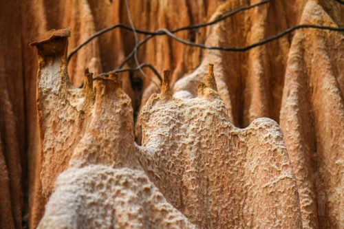 Didier_Gautron_Madagascar-2009-46