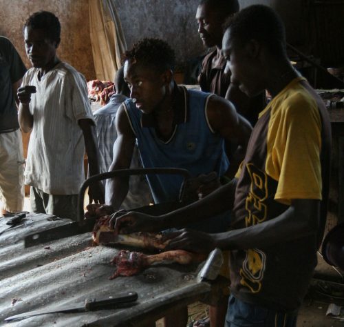 Didier_Gautron_Madagascar-2009-48