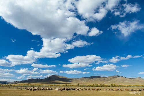 Didier_Gautron_Mongolie_2011-09