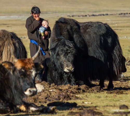 Didier_Gautron_Mongolie_2011-13