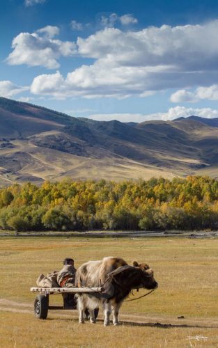 Didier_Gautron_Mongolie_2011-15