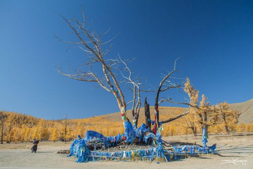 Didier_Gautron_Mongolie_2011-16