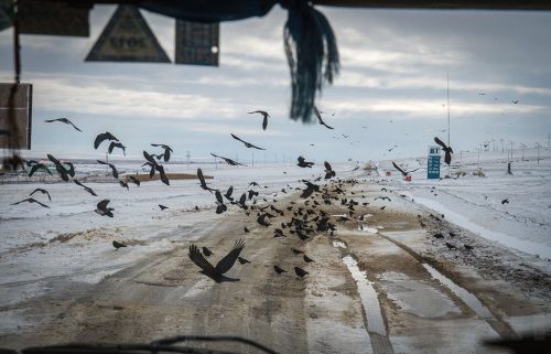 Didier_Gautron_Mongolie_2011-26