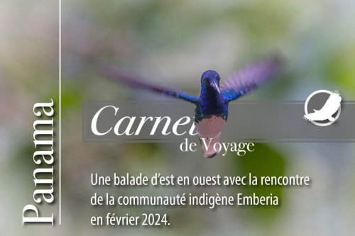 Voyage_Didier_Gautron-2024-Panama